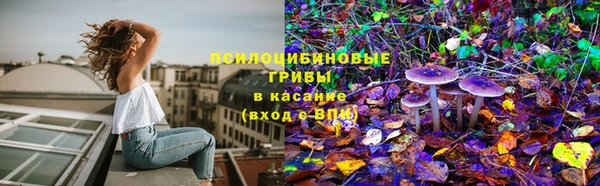 каннабис Бежецк