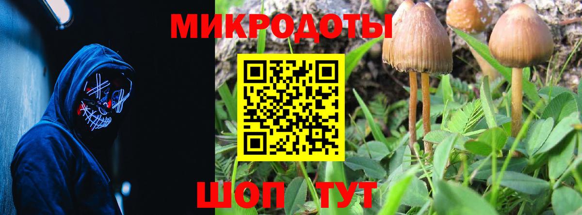 Самара  Галлюциногенные грибы ЛСД  Вход с VPN  Псилоцибиновые грибы ЛСД 